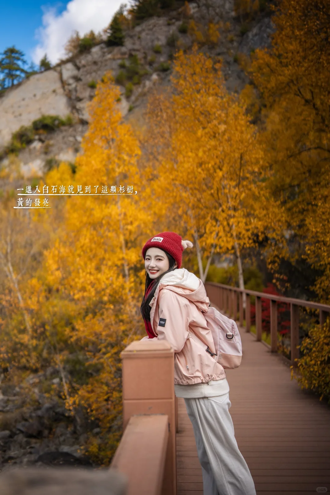 11月必冲❗️松坪沟彩林杀疯了🍂错过等一年