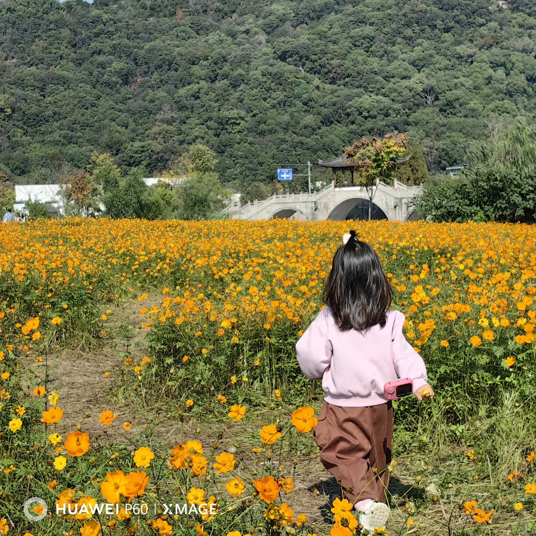 #湖南退休人深度玩杭州#撞进湘湖秋色里
