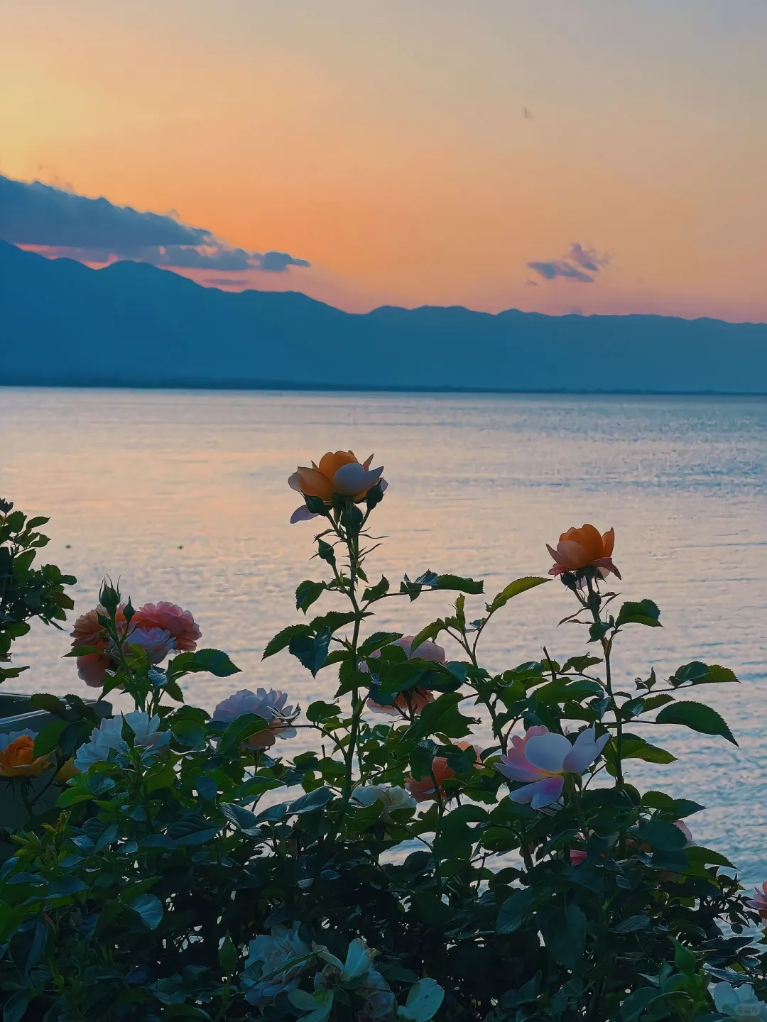 5.28📍云南旅游现状😭宝子后悔了✨听劝