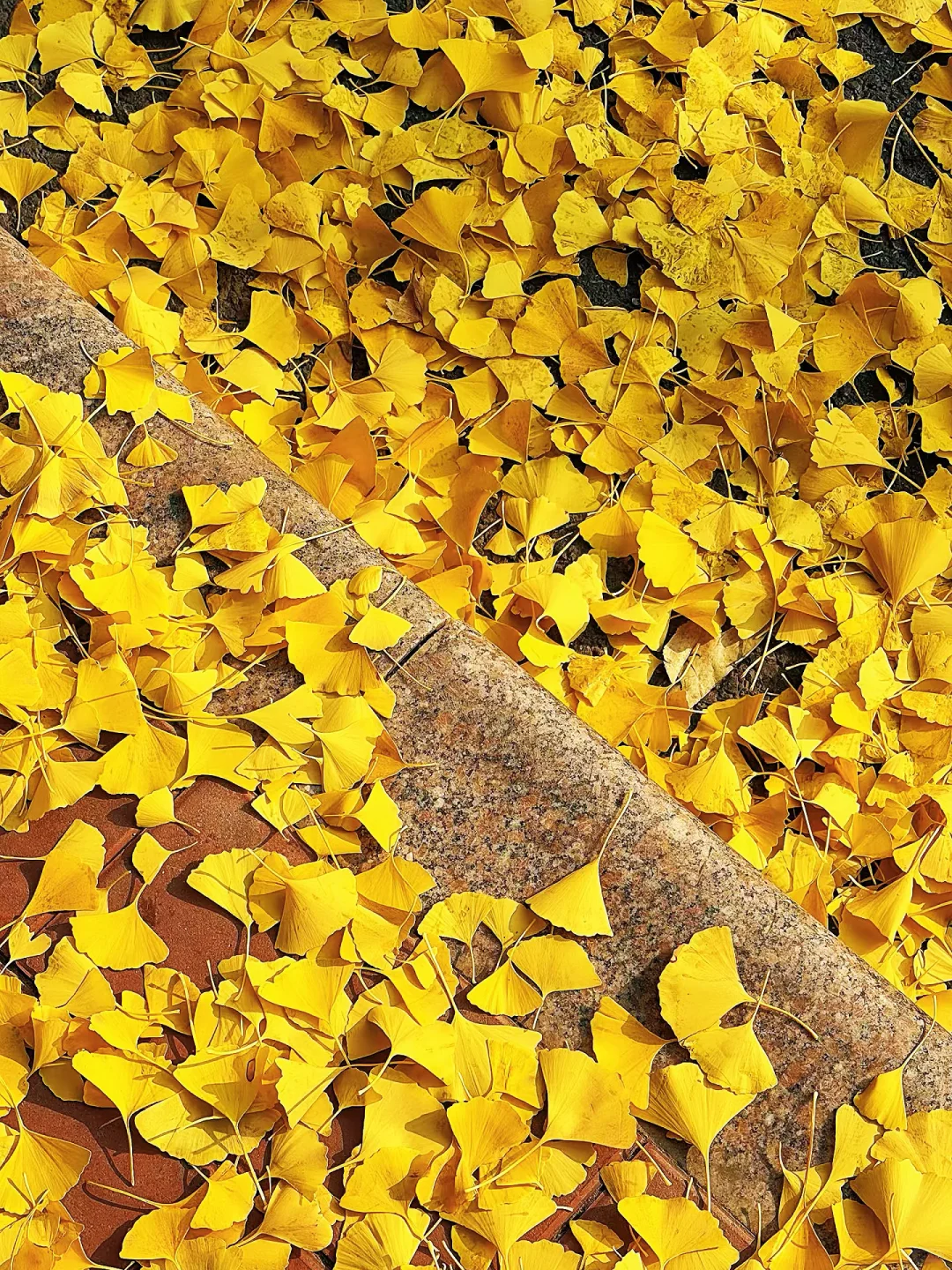 保定赏秋地图｜5个绝美打卡地