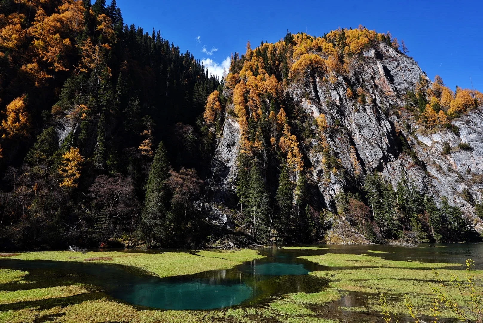 其实玩好九寨沟的精髓是松弛