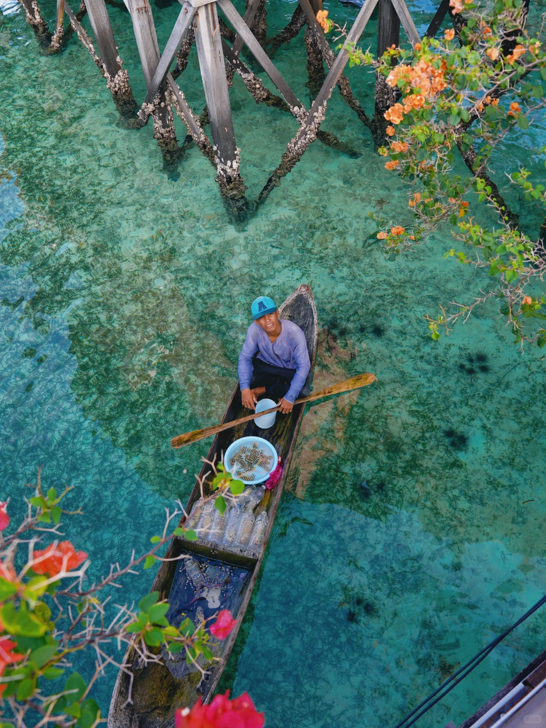 刚从亚庇、仙本那回来，真的劝退不了一点