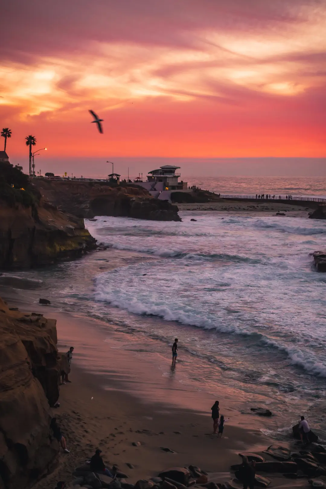 感恩节玩透美西❓这条小众环线戒掉自驾瘾