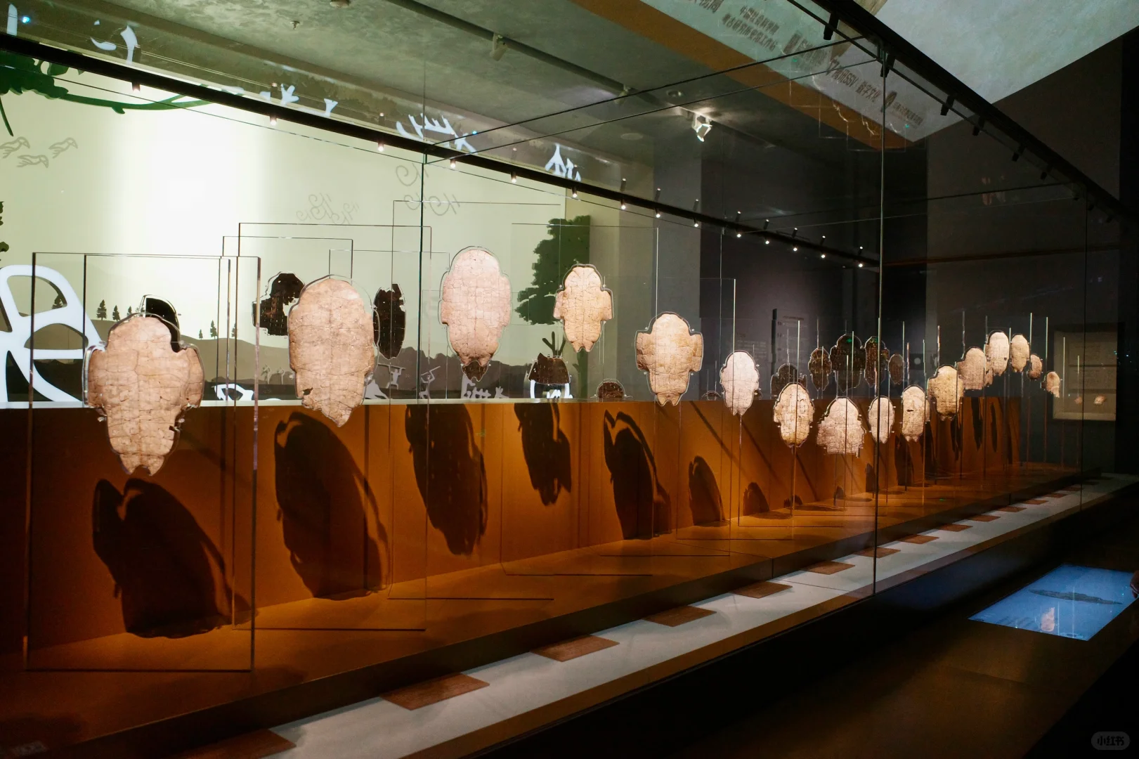 殷墟，和想象中不太一样