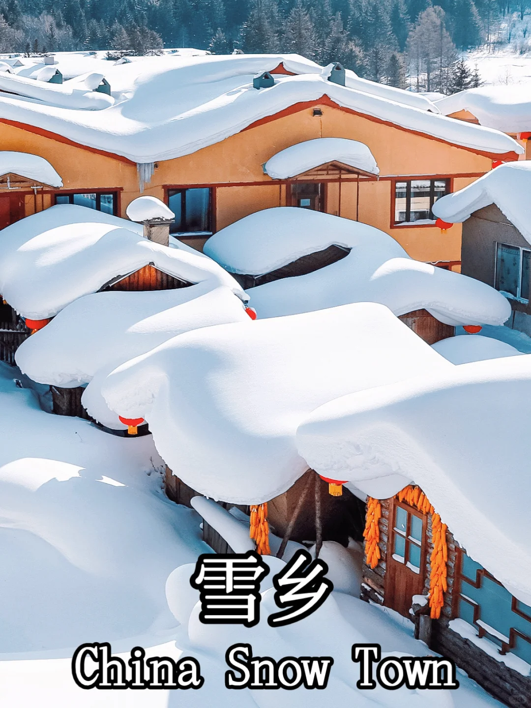 🇨🇳中国冬季赏雪胜地|Winter Wonderlands