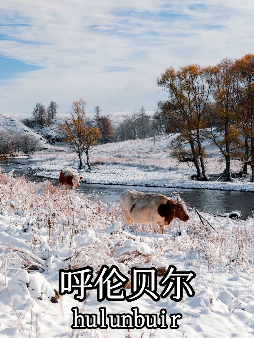 🇨🇳中国冬季赏雪胜地|Winter Wonderlands