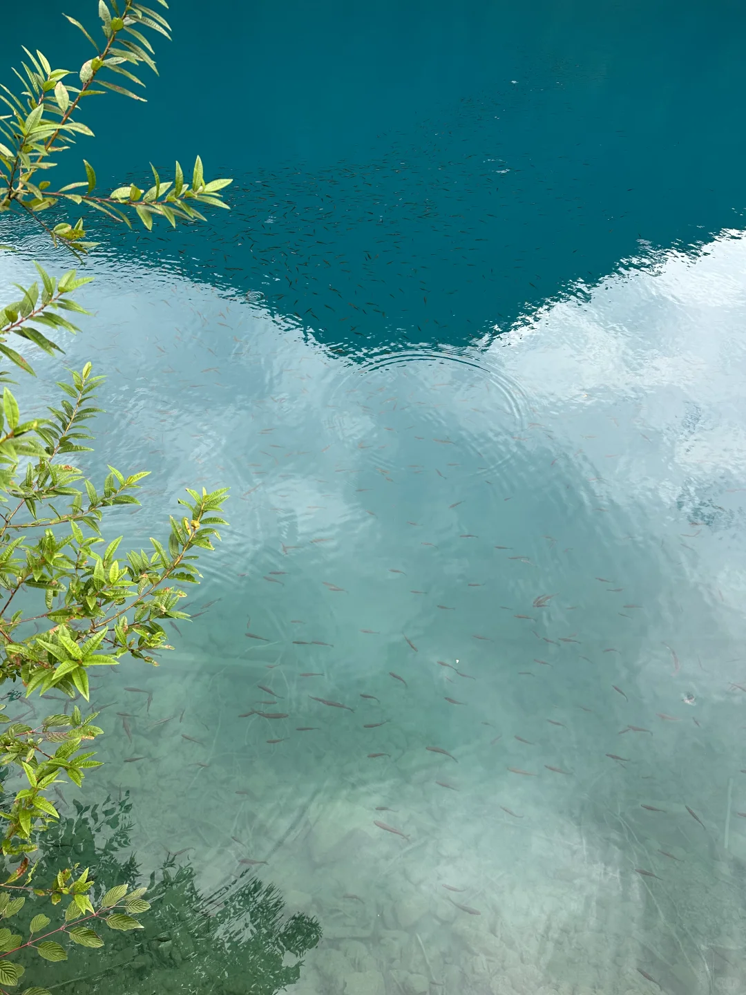 这个地方，你绝对不能错过！