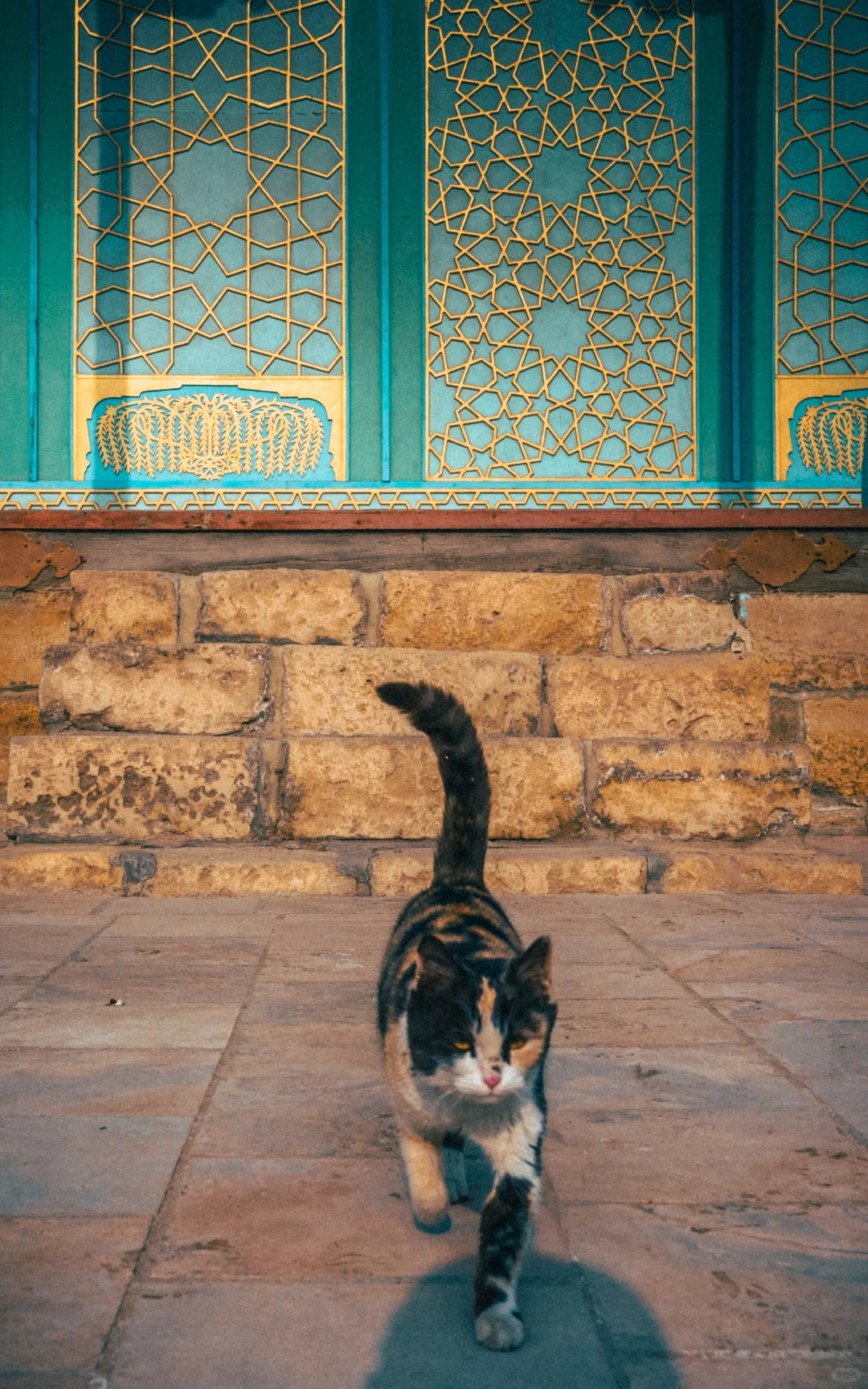 乌兹别克斯坦必打卡景点，埃米尔夏宫。