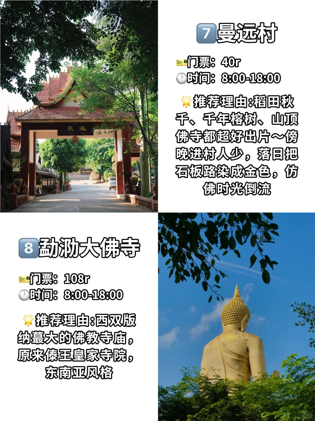 🌟 版纳必打卡9大景点｜一定要体验一下