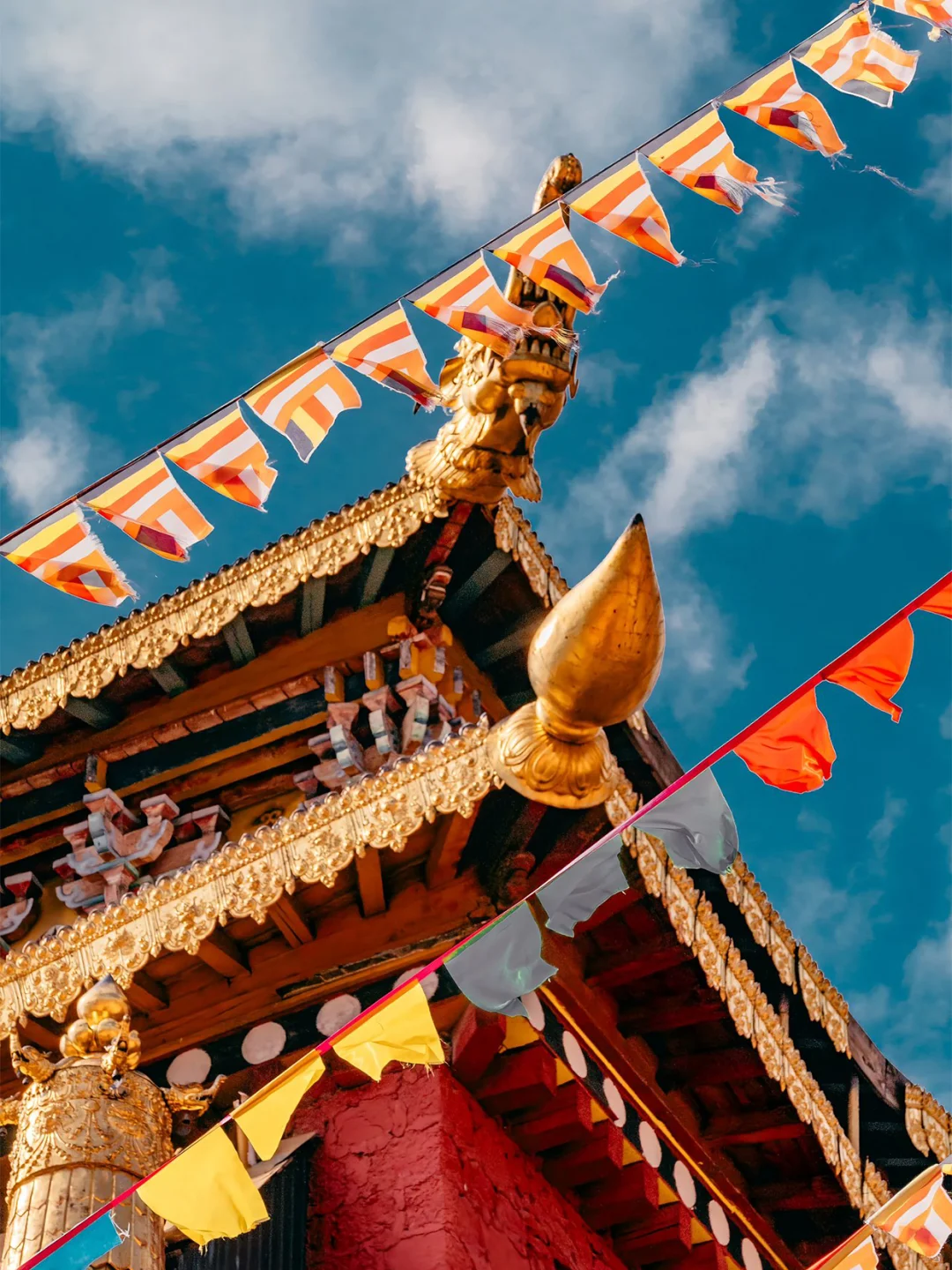 5.28📍云南旅游现状😭宝子后悔了✨听劝