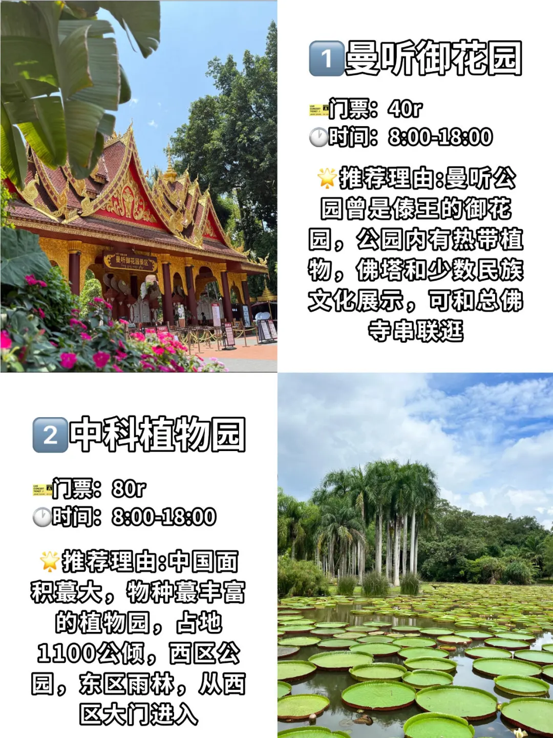 🌟 版纳必打卡9大景点｜一定要体验一下