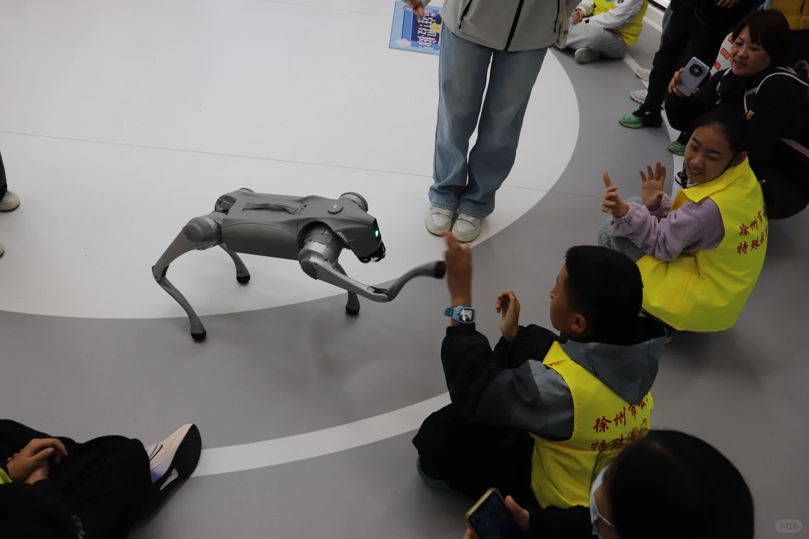 徐州必玩！带娃解锁科学乐园的N种玩法✨