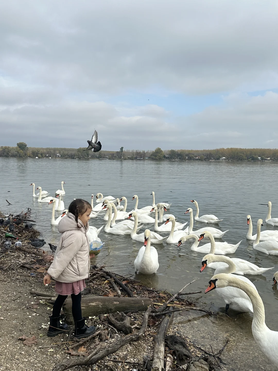 🇷🇸塞尔维亚｜很具性价比的欧洲小众国家