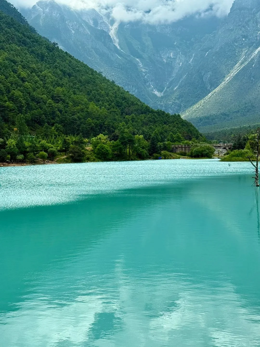 玉龙雪山纯玩一日游｜一价全含无套路🏔️