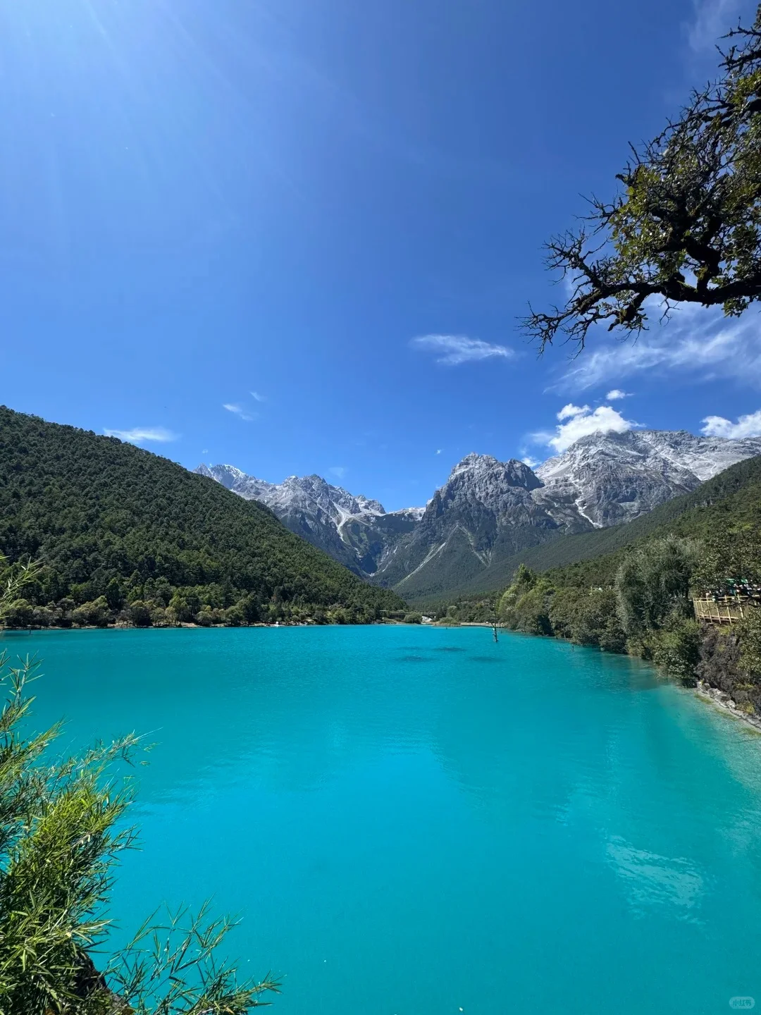 玉龙雪山一日游小团|200+纯玩无购物🏔️