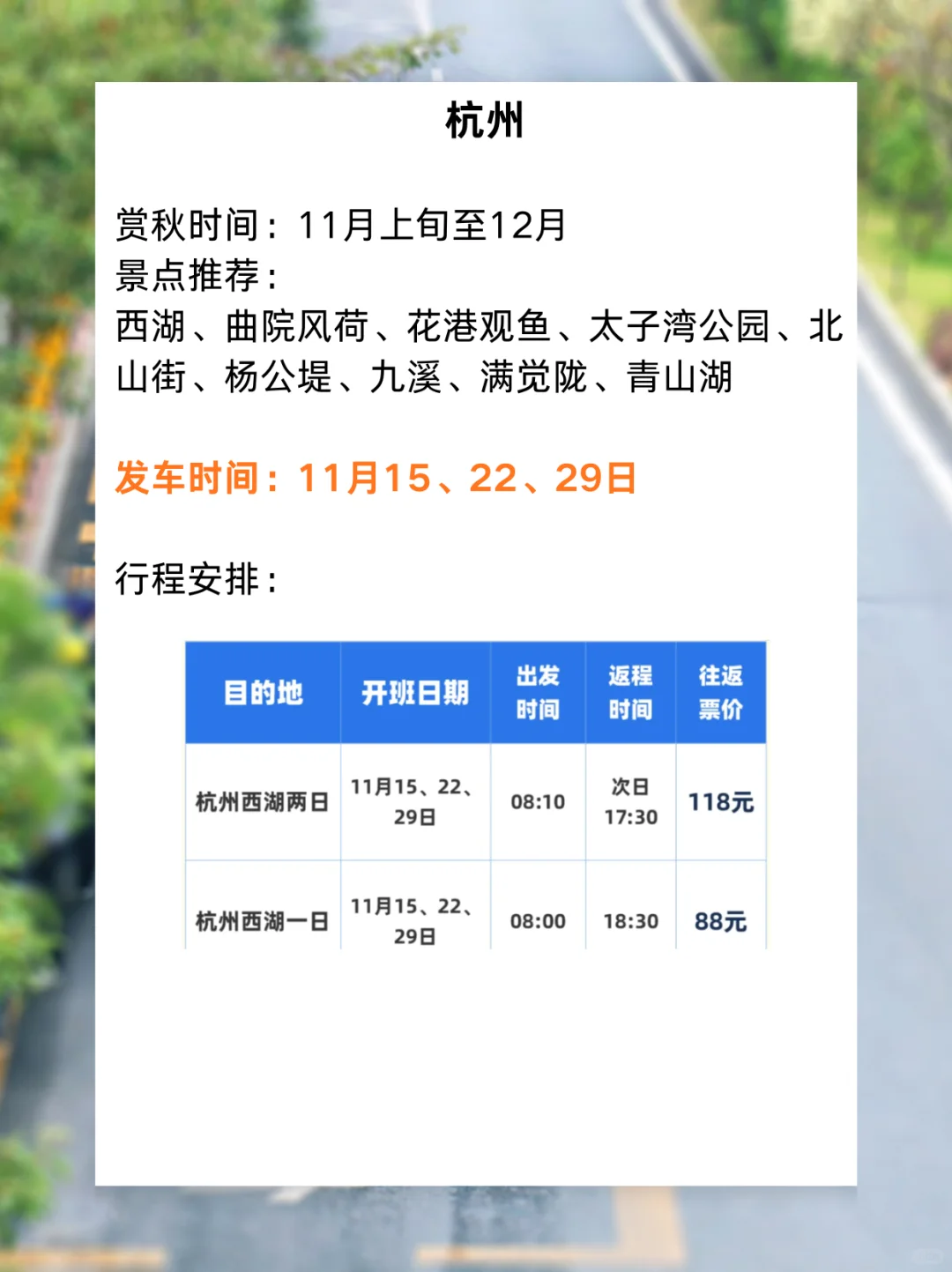 11月景区直通车来啦✨