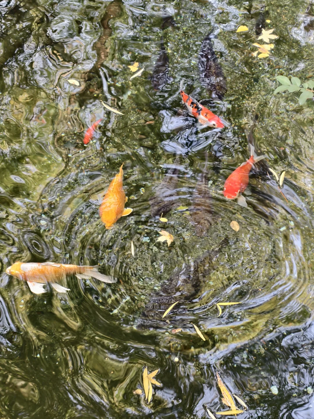 没课的周五就这样出来玩儿