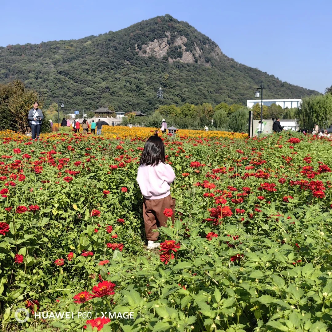 #湖南退休人深度玩杭州#撞进湘湖秋色里