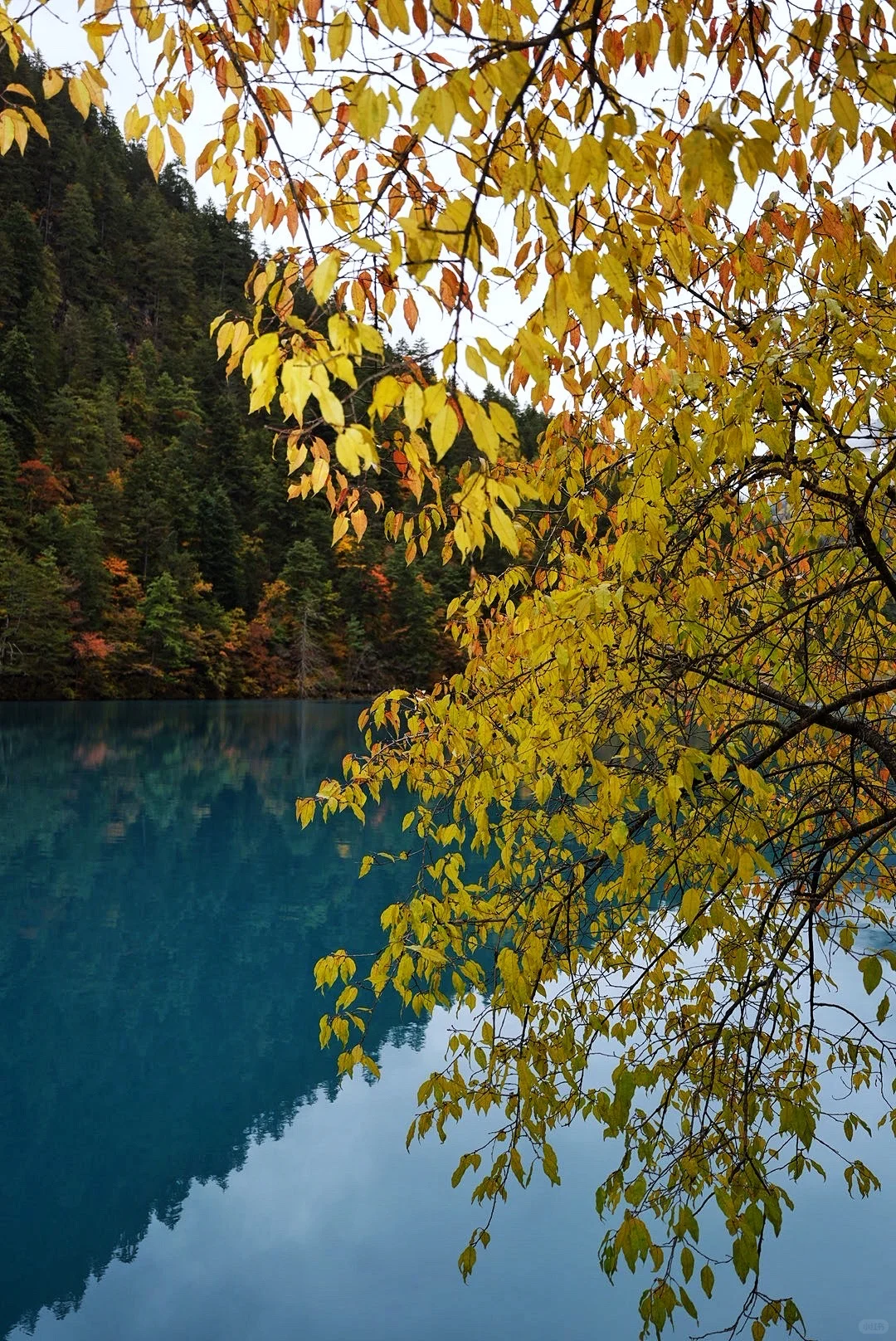 其实玩好九寨沟的精髓是松弛