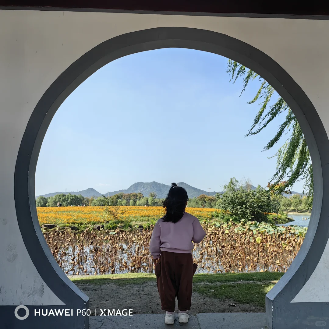 #湖南退休人深度玩杭州#撞进湘湖秋色里