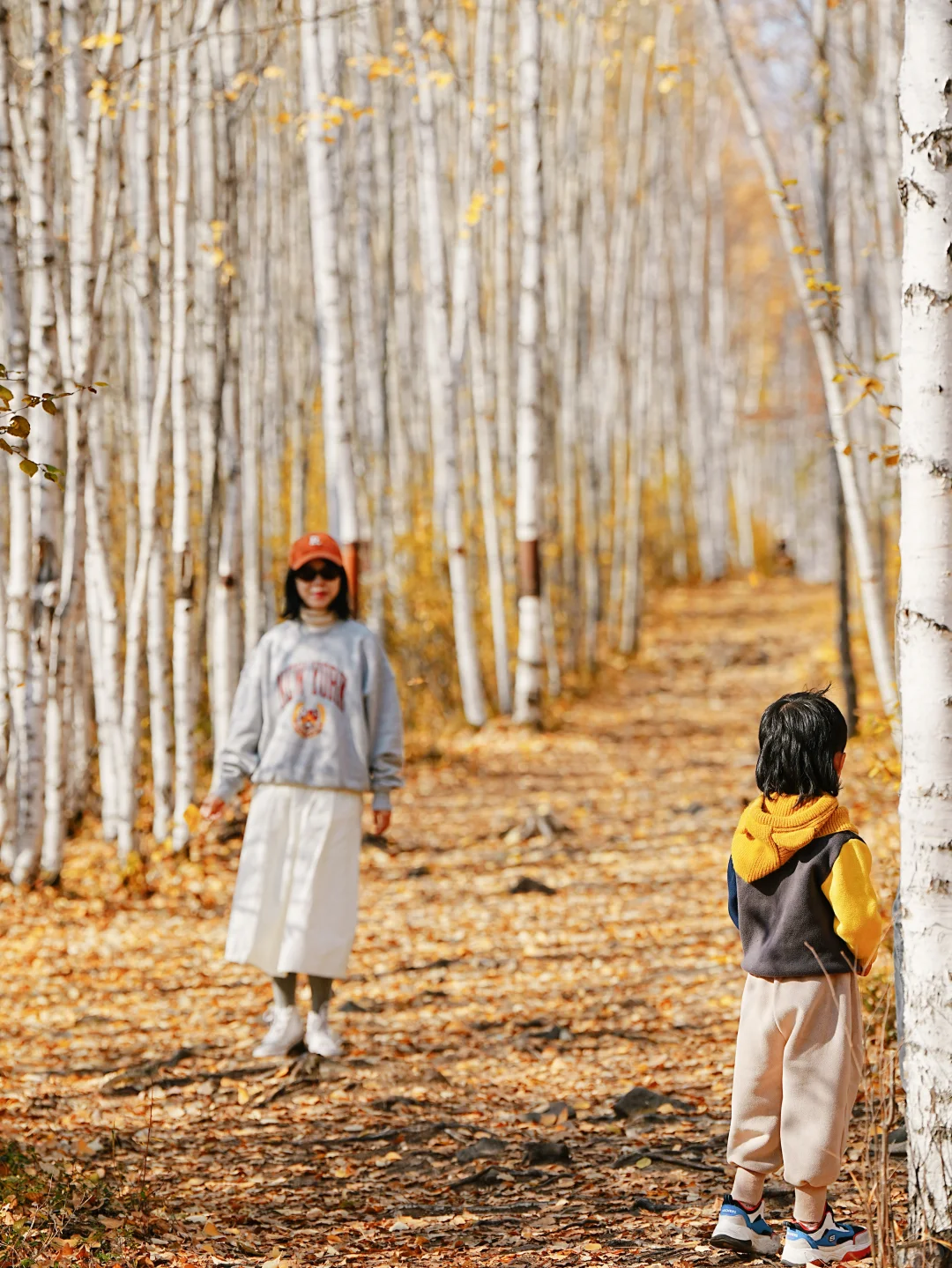 这里‼️ 所有的故事都围绕着“最北”展开