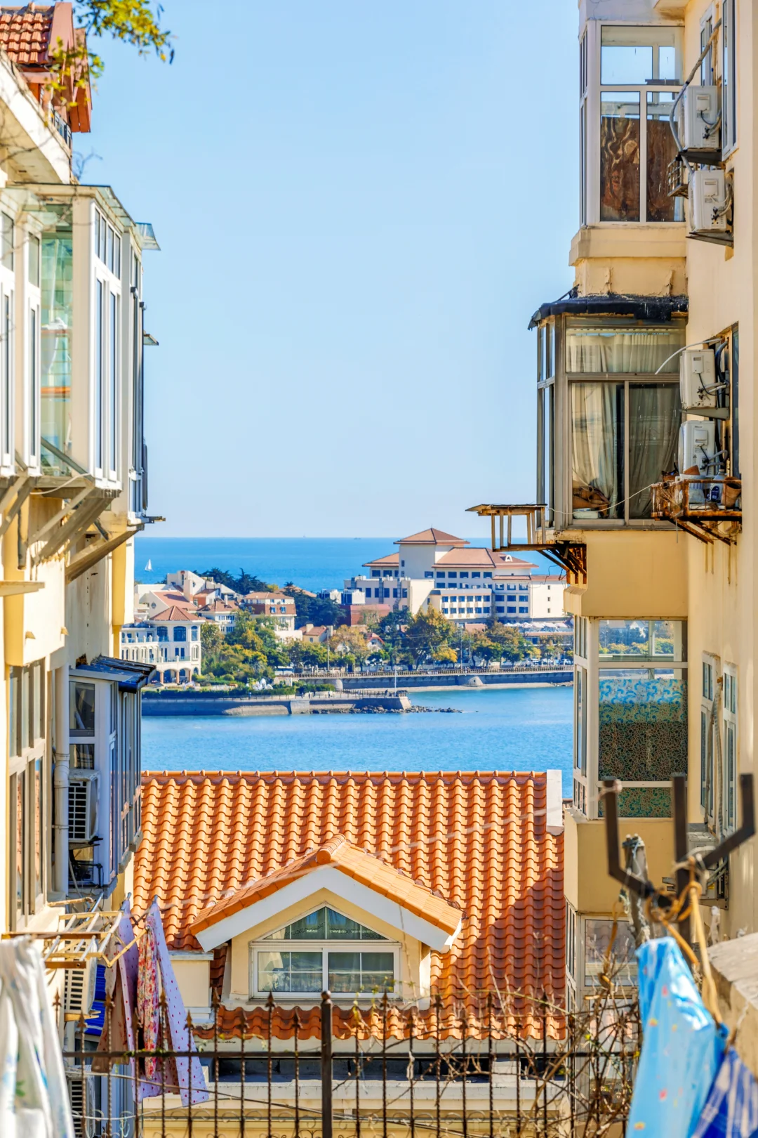 11月旅行✈️淡季青岛是人间理想🌊保姆级攻略