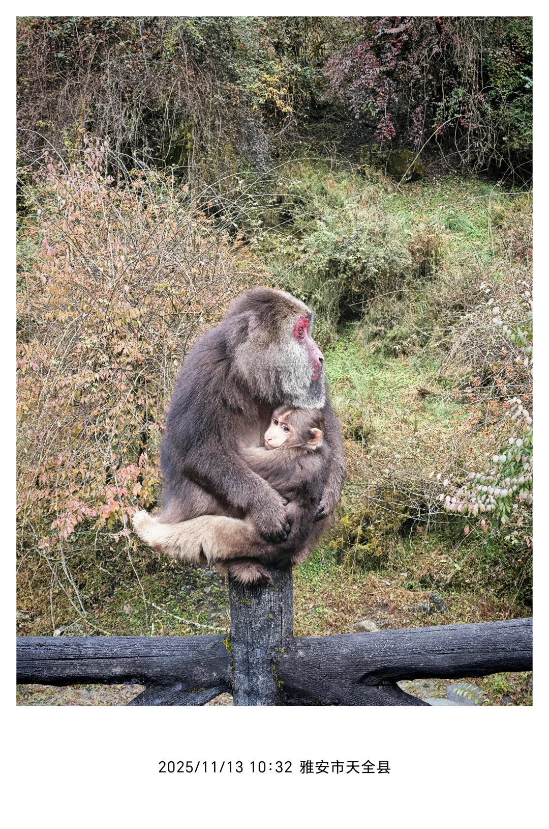 11.13喇叭河一日东西线超实用游玩攻略