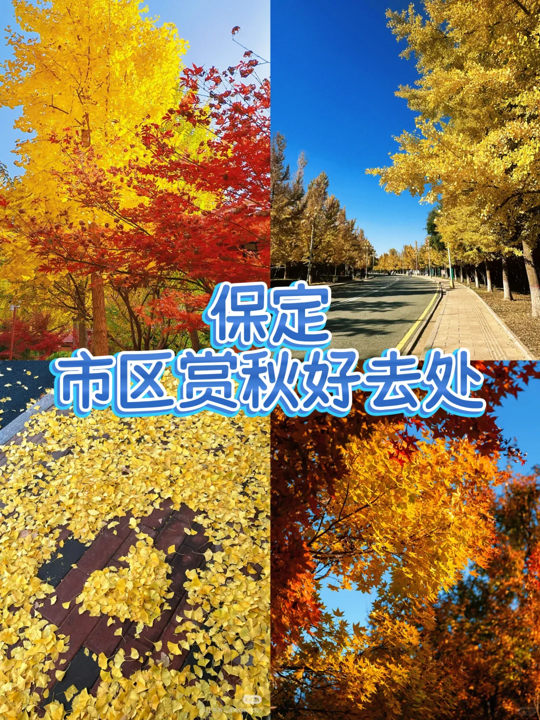 保定赏秋地图｜5个绝美打卡地