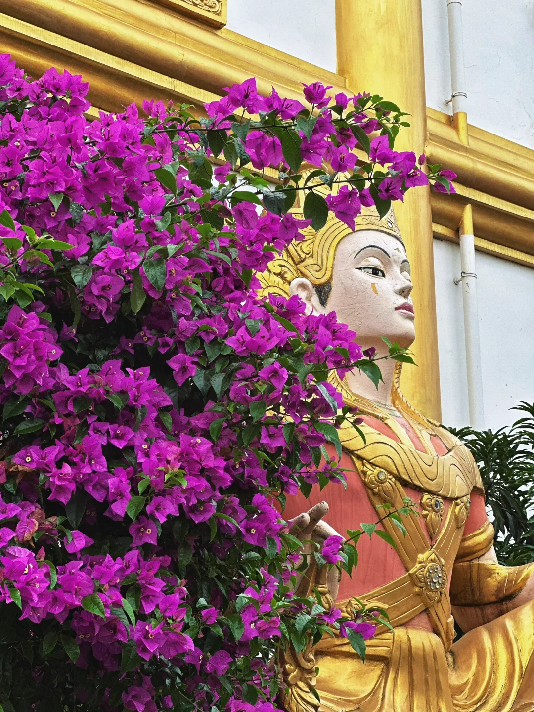 芒市｜大馋丫头3天2晚芒市旅行不完全攻略