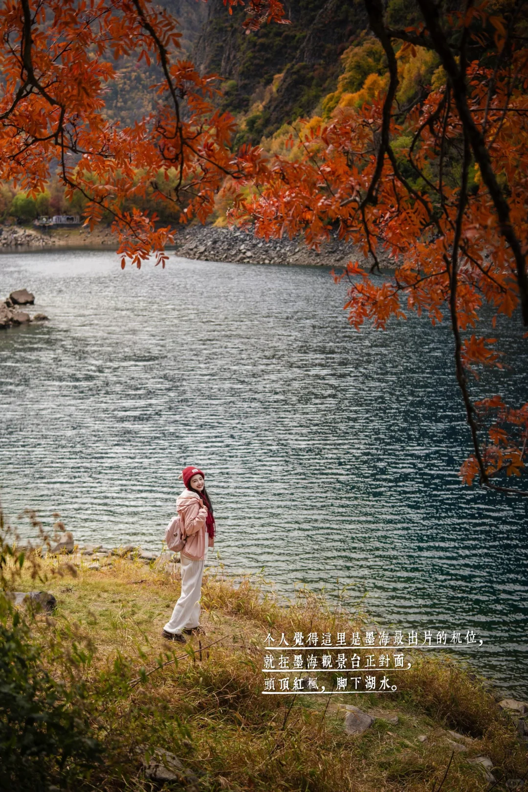 11月必冲❗️松坪沟彩林杀疯了🍂错过等一年