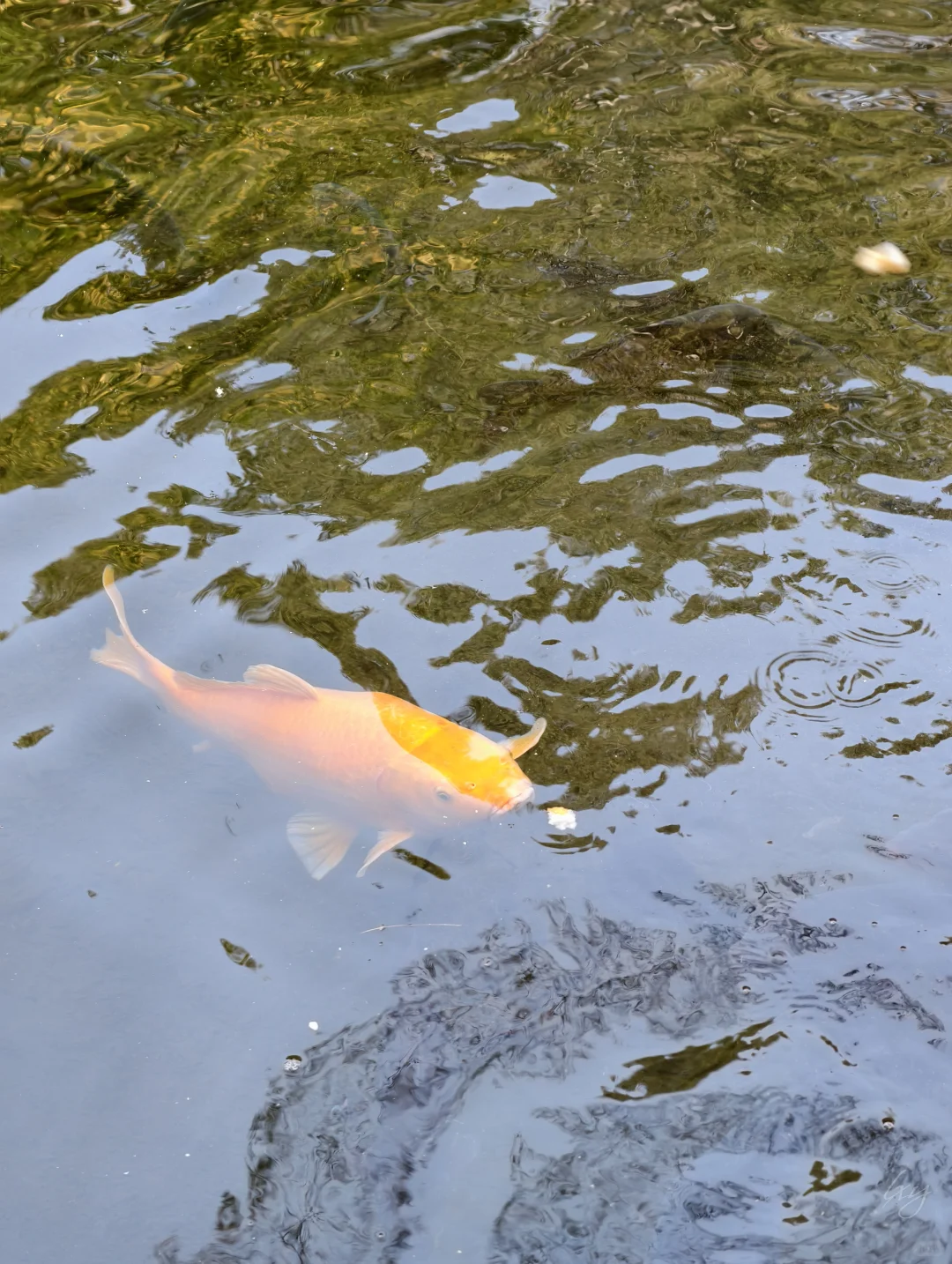 没课的周五就这样出来玩儿