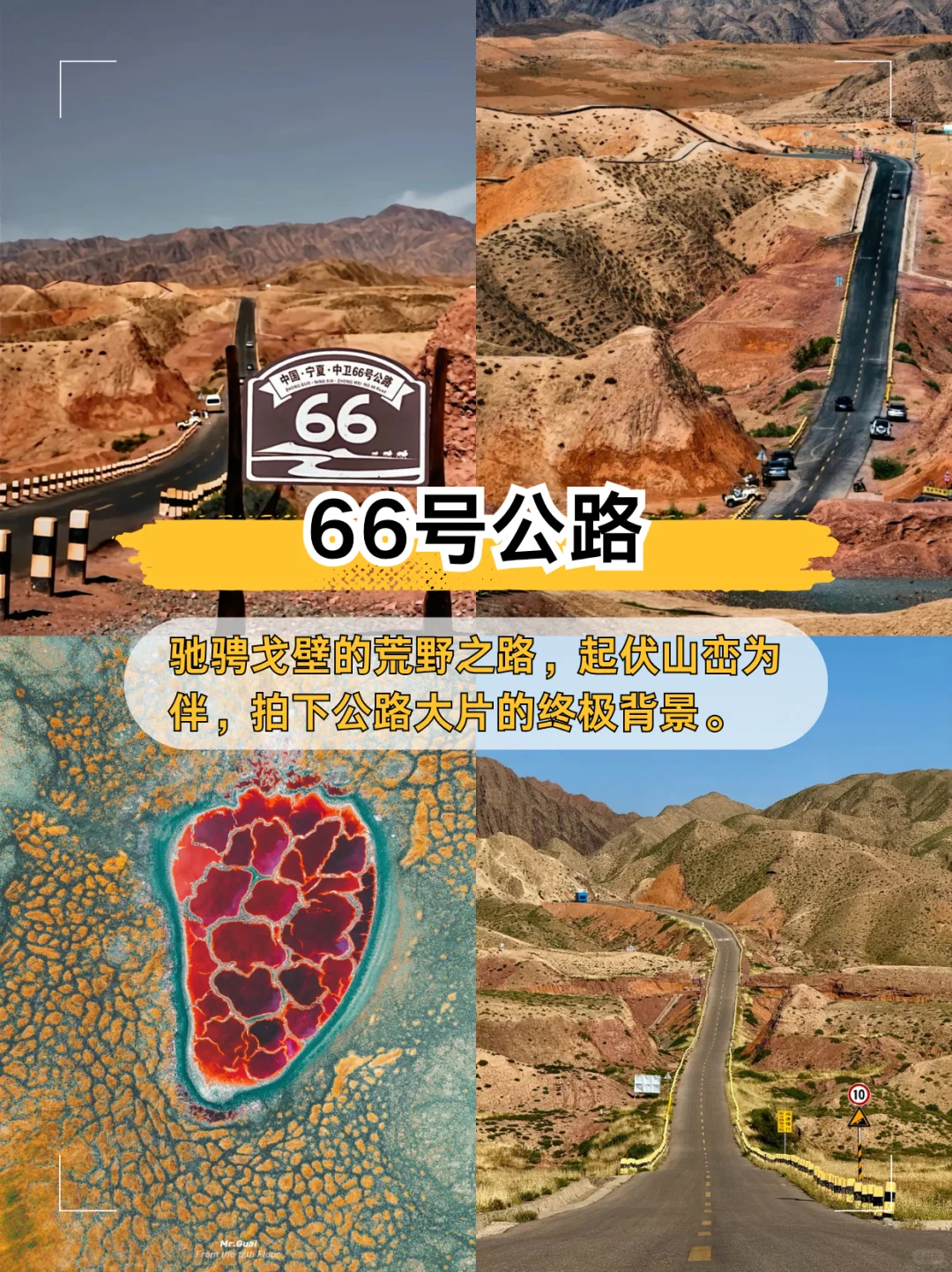 玩了5天只花1.5K🐪宁夏银川旅游宝藏地图