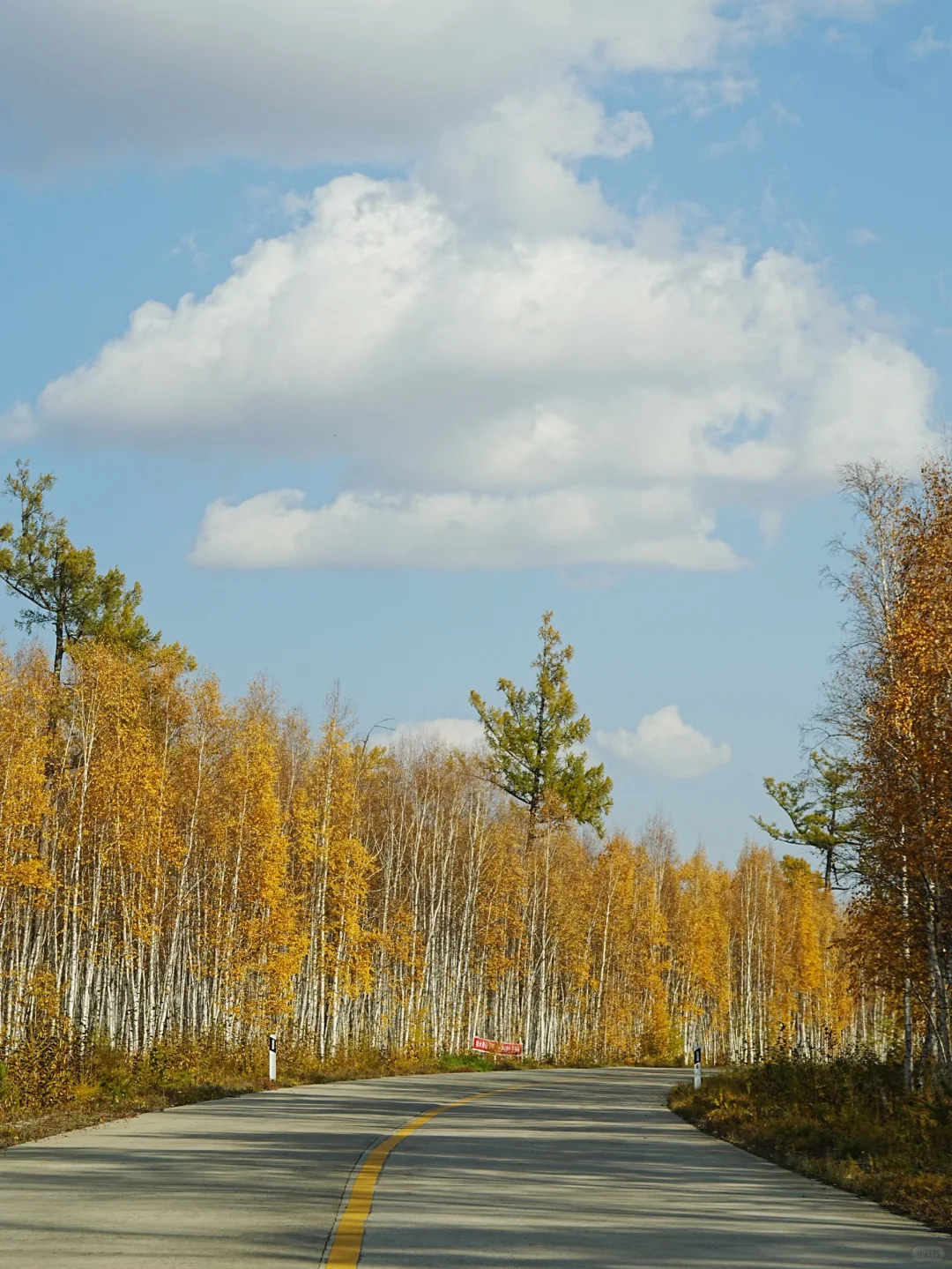这里‼️ 所有的故事都围绕着“最北”展开