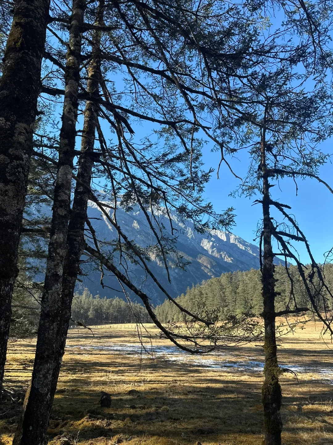 玉龙雪山一日错峰攻略｜4大景点干货合集