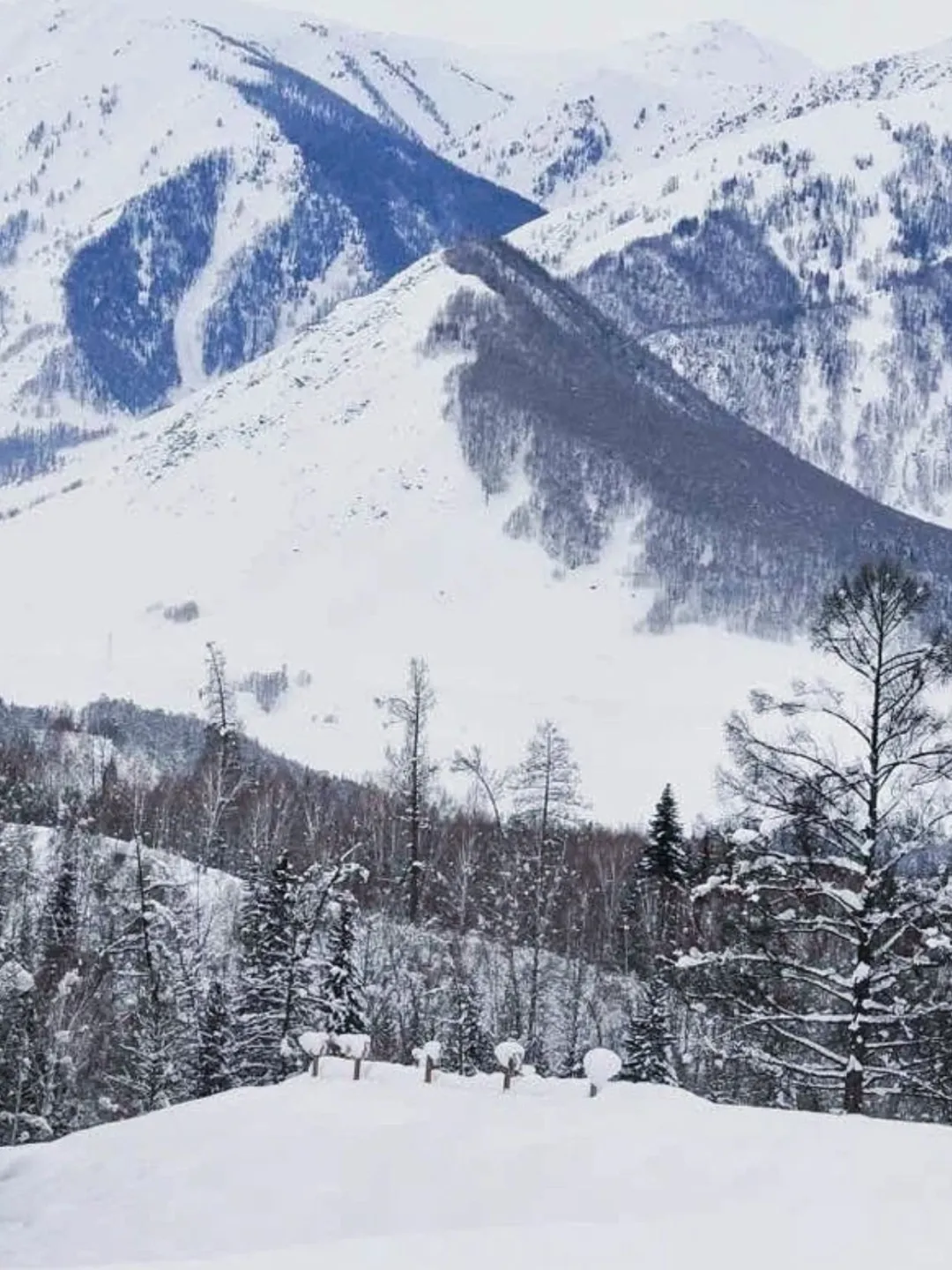 轻奢玩雪❄️ 阿勒泰7日品质小团5k+拿下