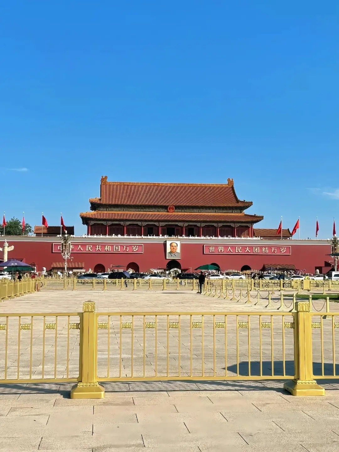 2025.11.11北京受冻已回,我的避雷建议是