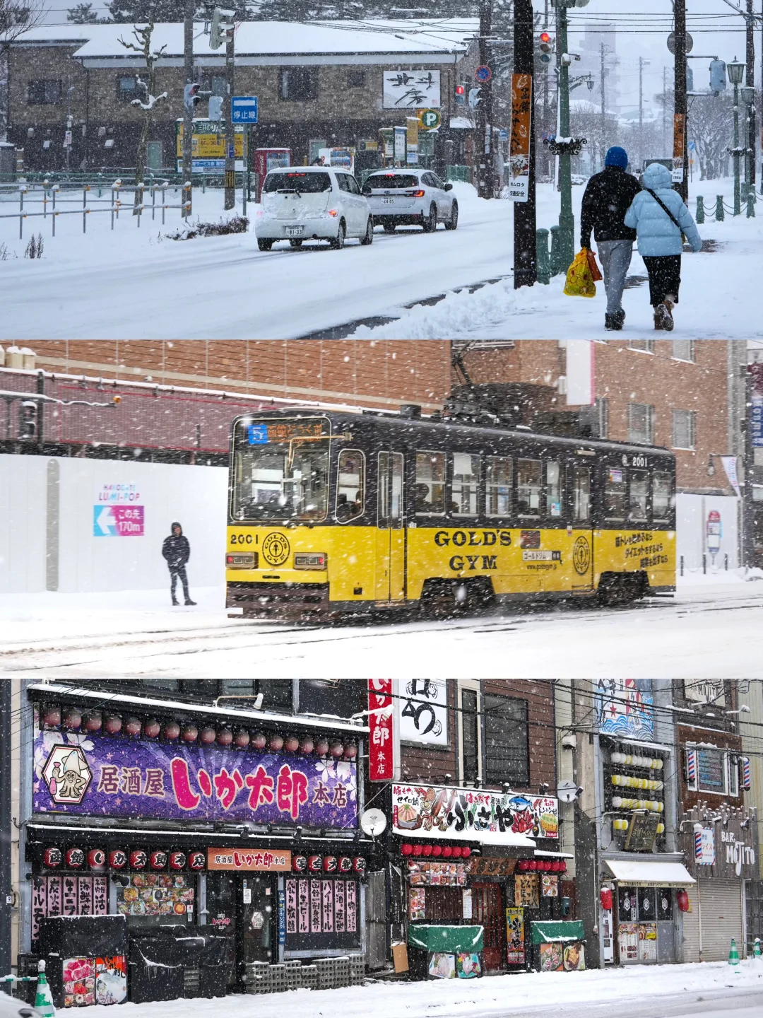 谁懂！！对自己的北海道攻略满意到睡不着！