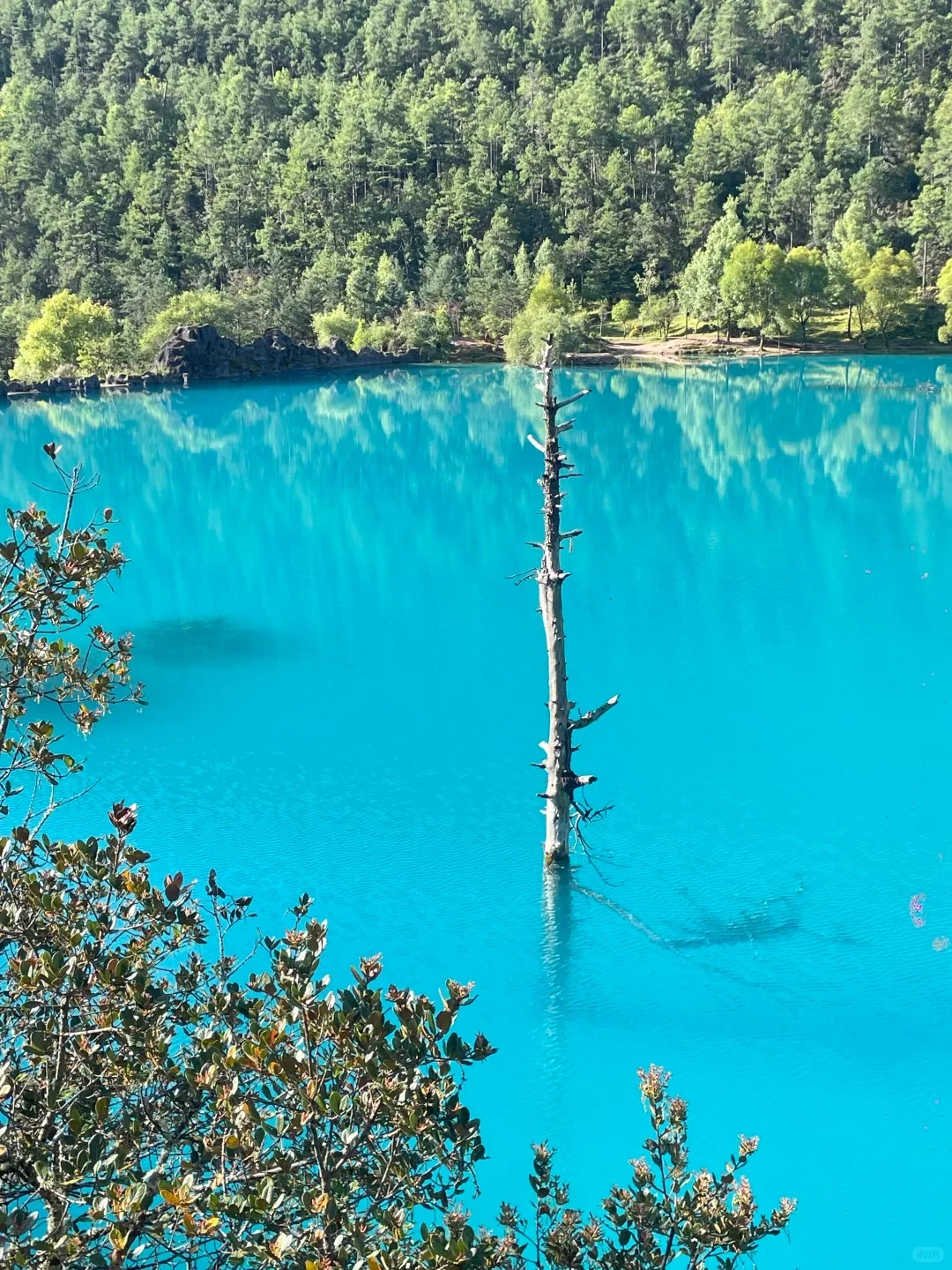 玉龙雪山一日游小团｜200+纯玩无购物🏔️