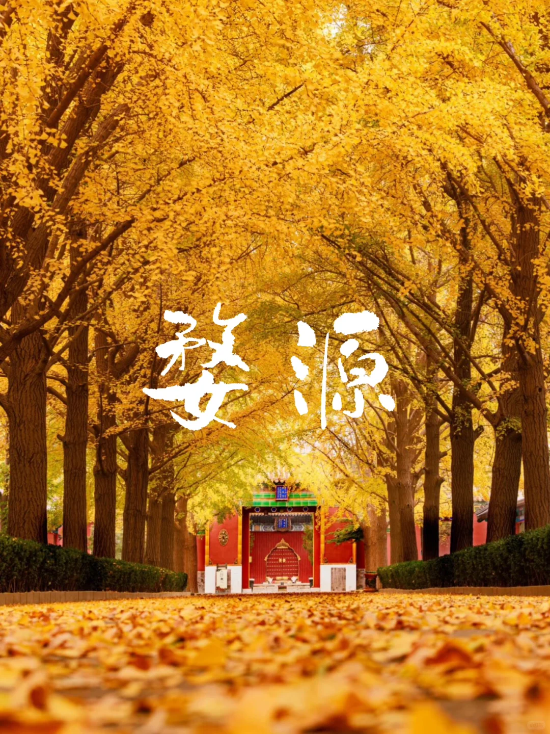 原地封神！婺源秋日双绝，晒秋叠红叶美到词穷