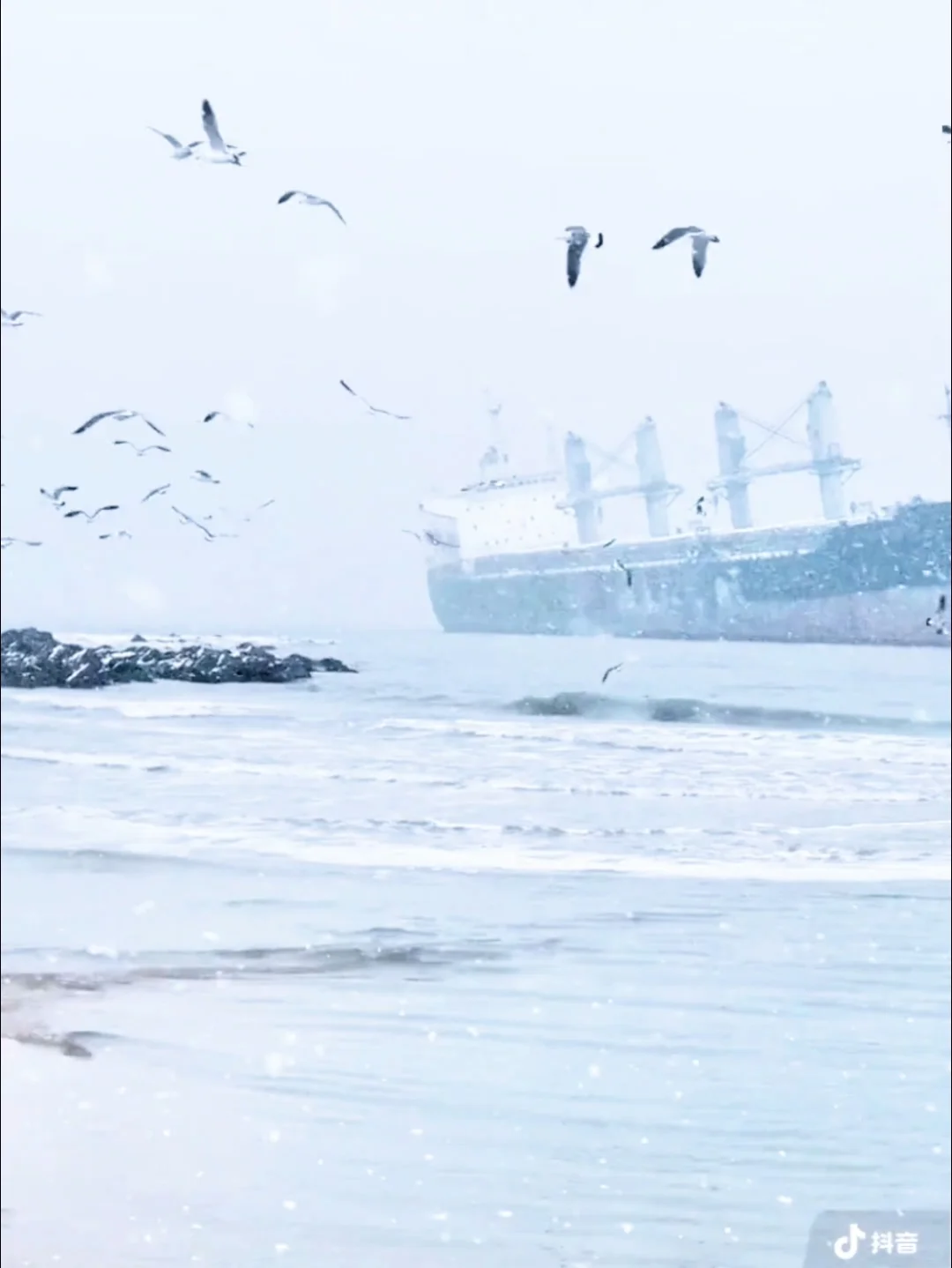 答应我！冬天一定要和喜欢的人来趟威海看雪