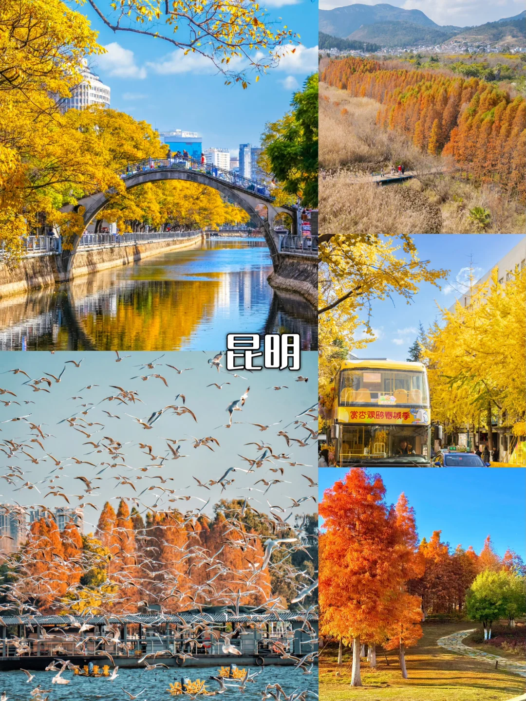 11月云南保姆级攻略🌾｜解锁秋冬神仙美景