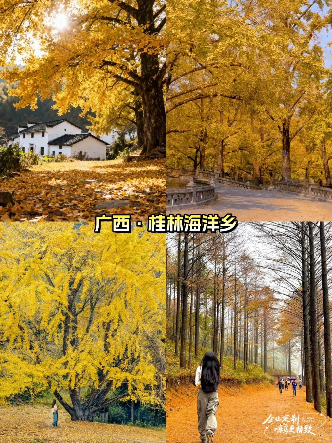 11月国内旅行天花板！8个赏秋好去处🍂