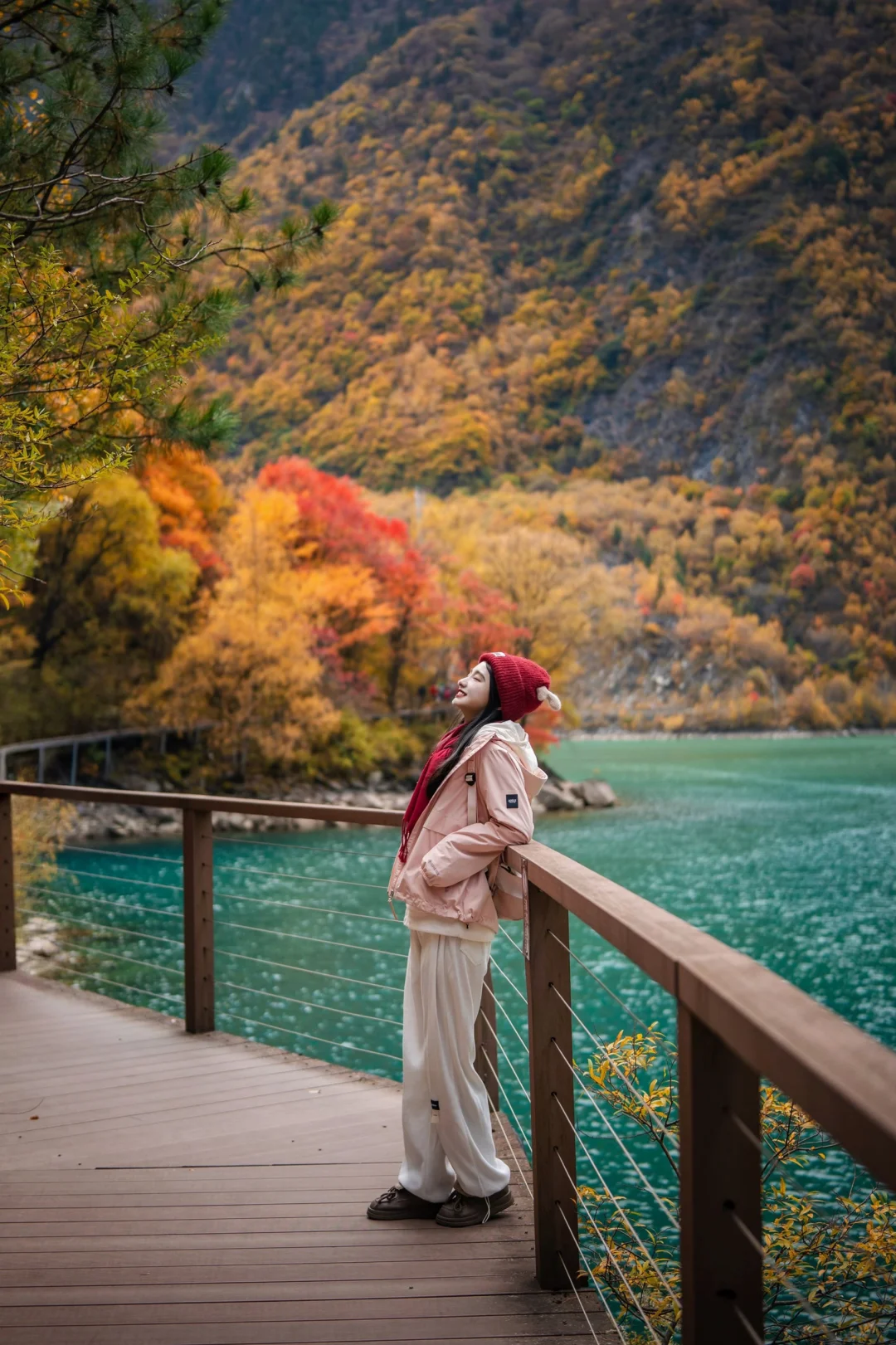 11月必冲❗️松坪沟彩林杀疯了🍂错过等一年