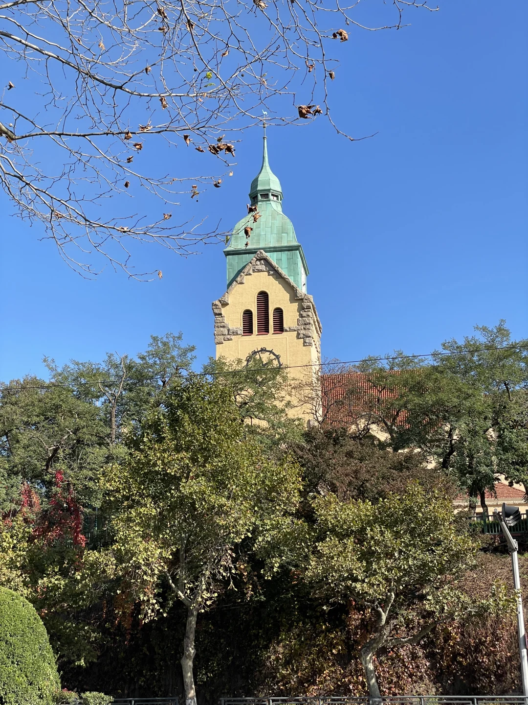 秋天的青岛 你简直美到犯规 带娃必冲