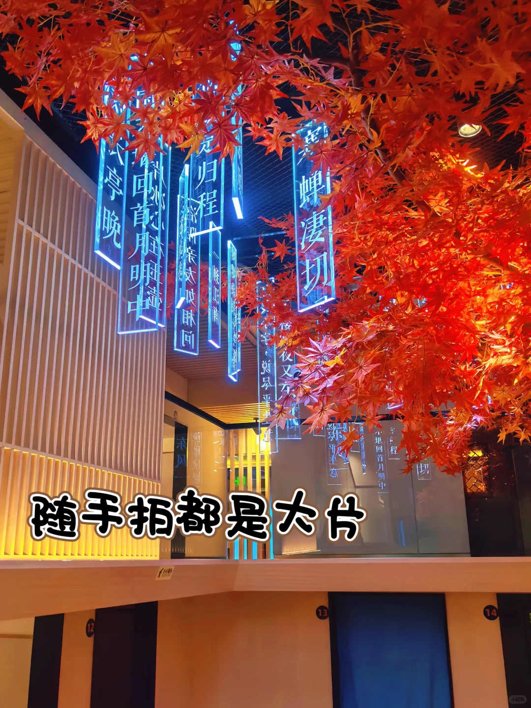 ❄️冬季亲子必打卡 | 附详细攻略🔥