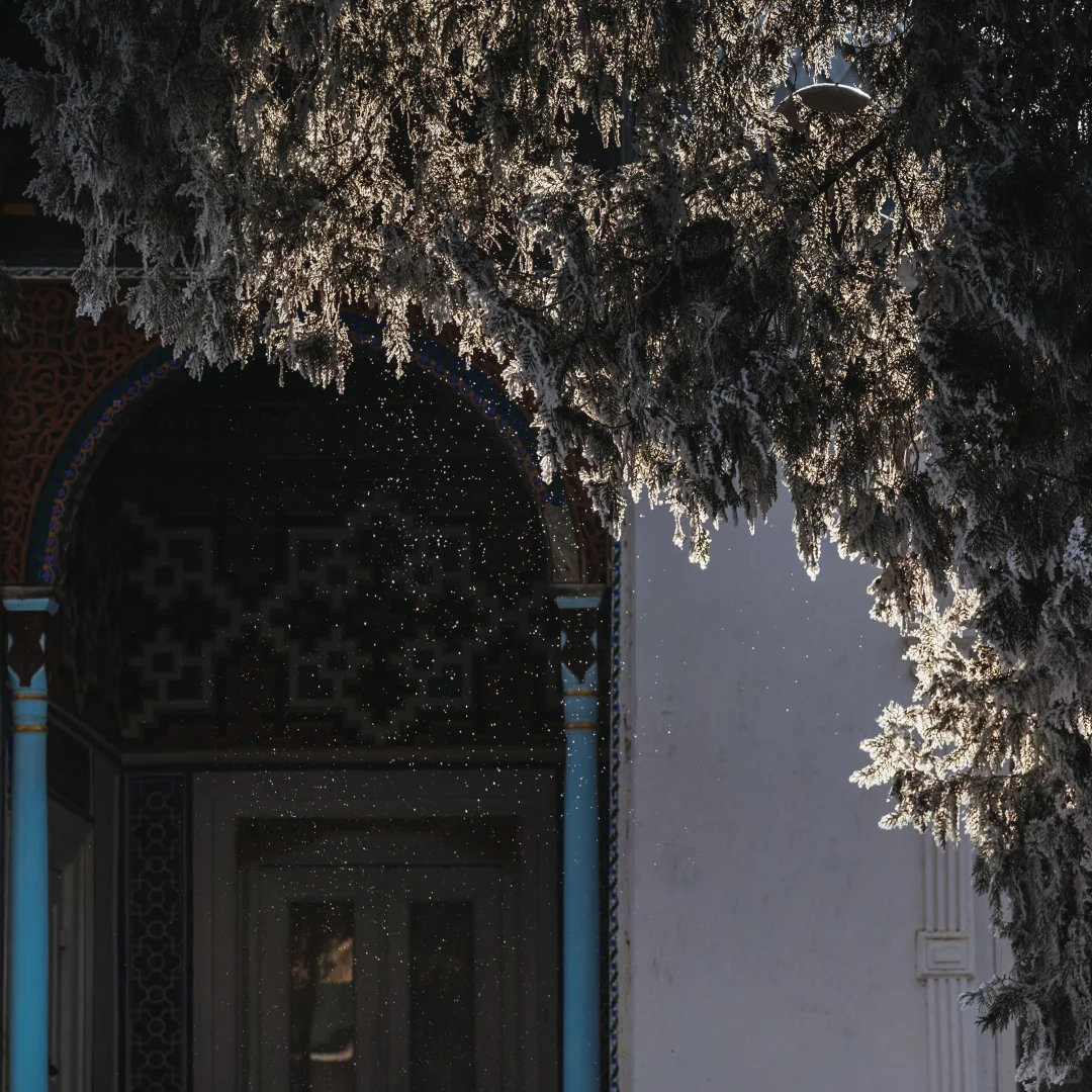 乌兹别克斯坦必打卡景点，埃米尔夏宫。