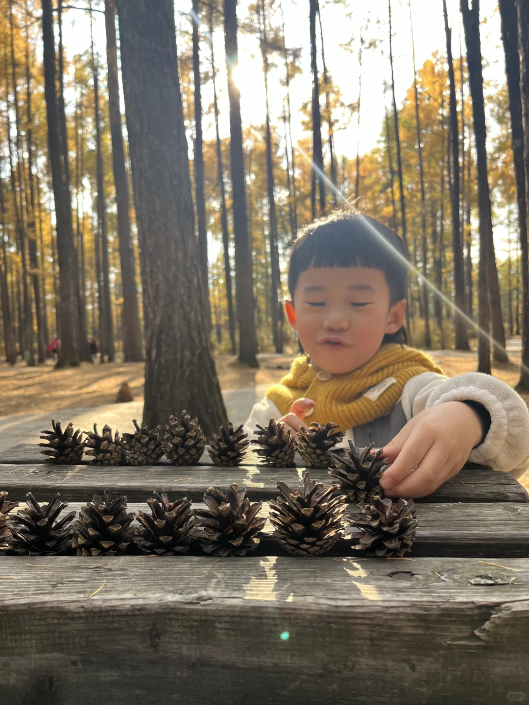 这里‼️ 所有的故事都围绕着“最北”展开