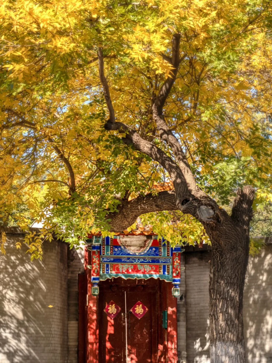 原地封神！婺源秋日双绝，晒秋叠红叶美到词穷