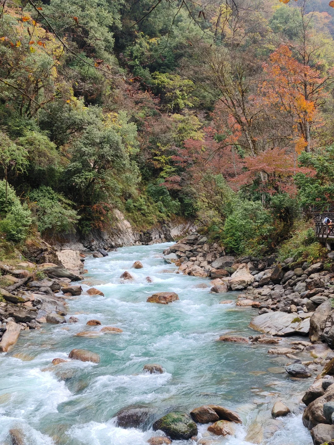 11.13喇叭河一日东西线超实用游玩攻略