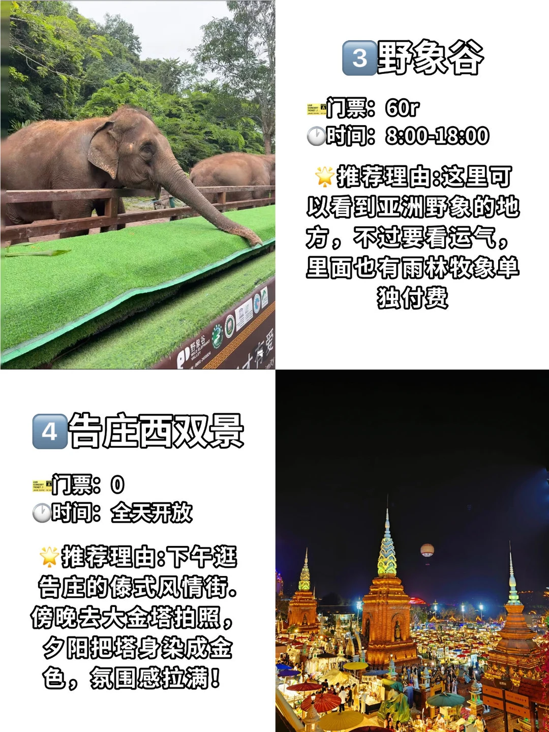 🌟 版纳必打卡9大景点｜一定要体验一下